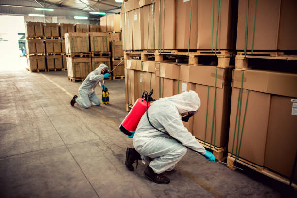 Best Wasp Removal Services  in Ballwin, MO