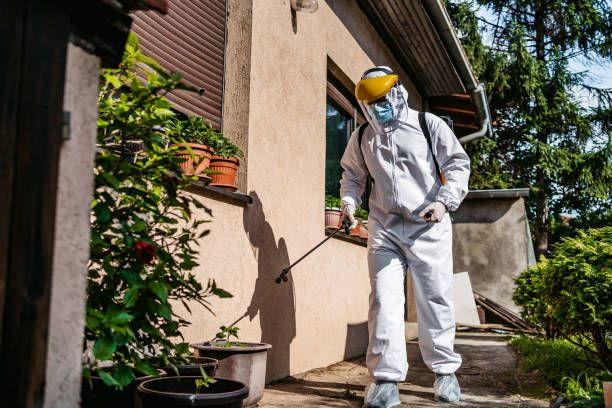 Best Affordable Exterminators  in Ballwin, MO