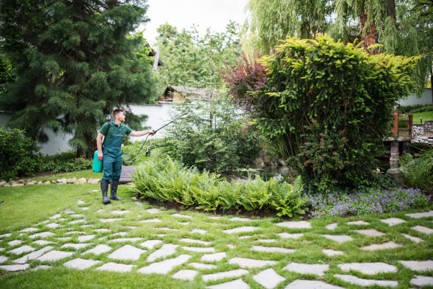 Professional Pest Control in Ballwin, MO