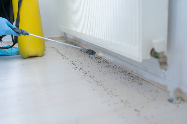 Best Mosquito Control Services  in Ballwin, MO